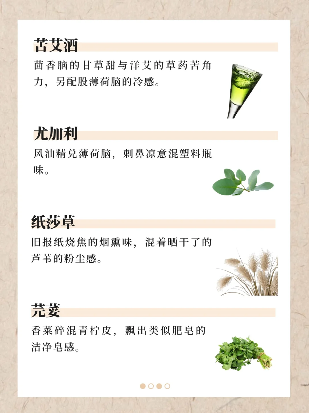 香水香料气味词典（下）｜122种香料真实气味