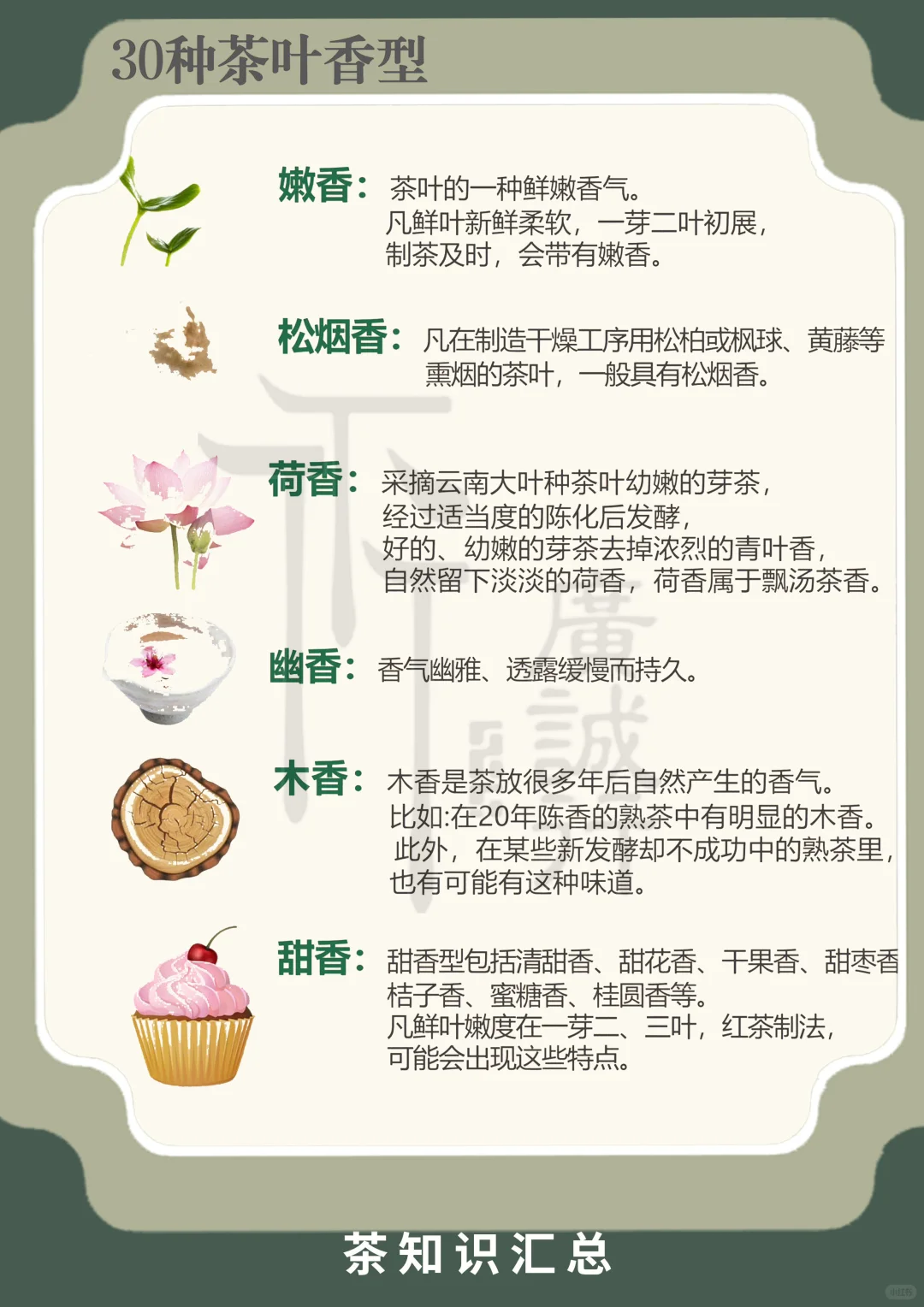 30种茶叶香型|看完就是品茶大佬