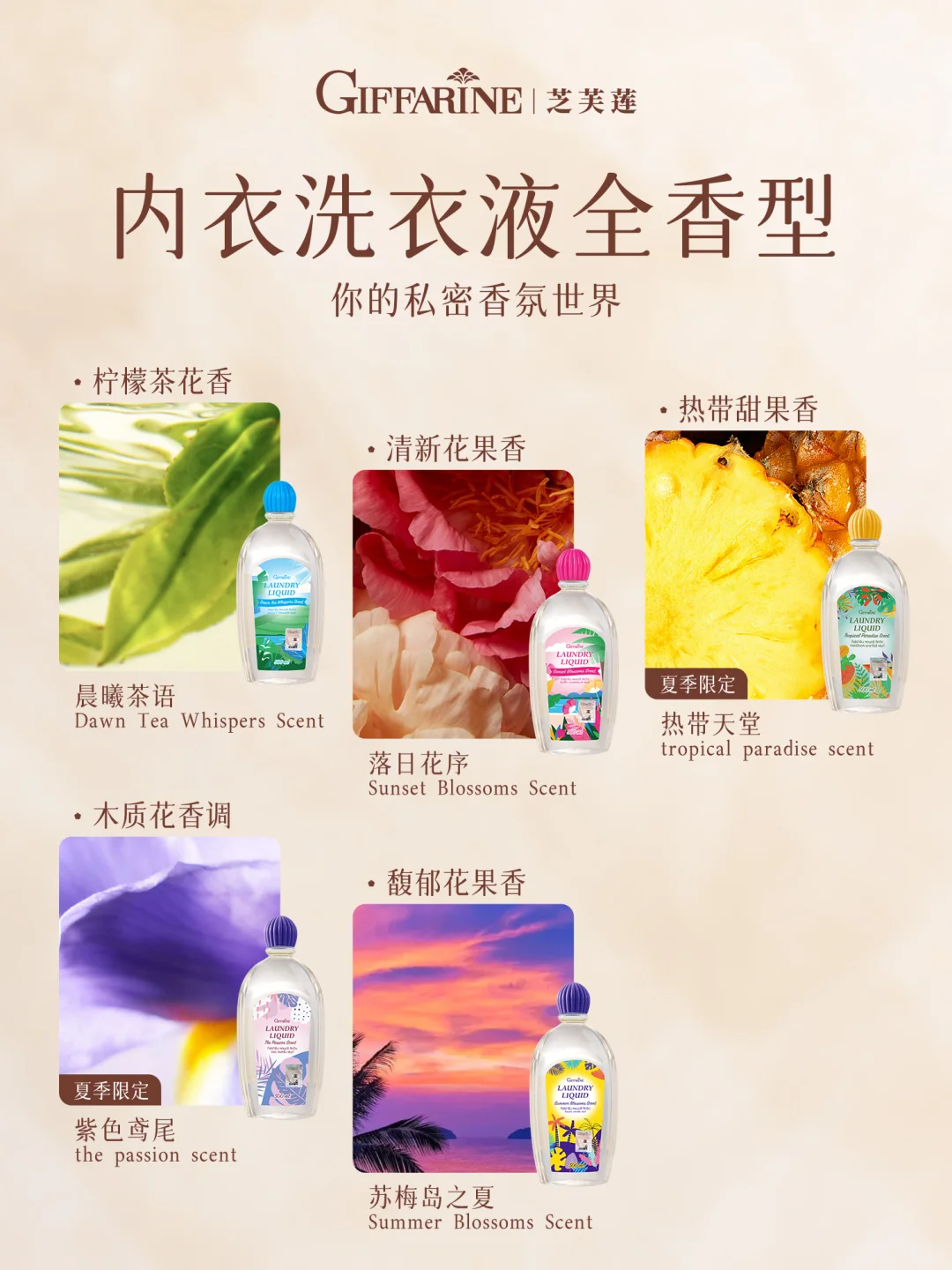 买前必看！！芝芙莲内衣洗衣液全香型?