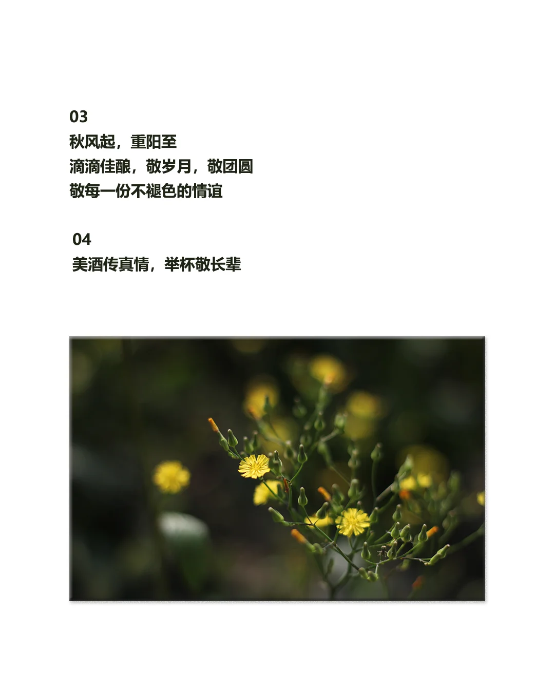 重阳节|白酒行业走心原创文案