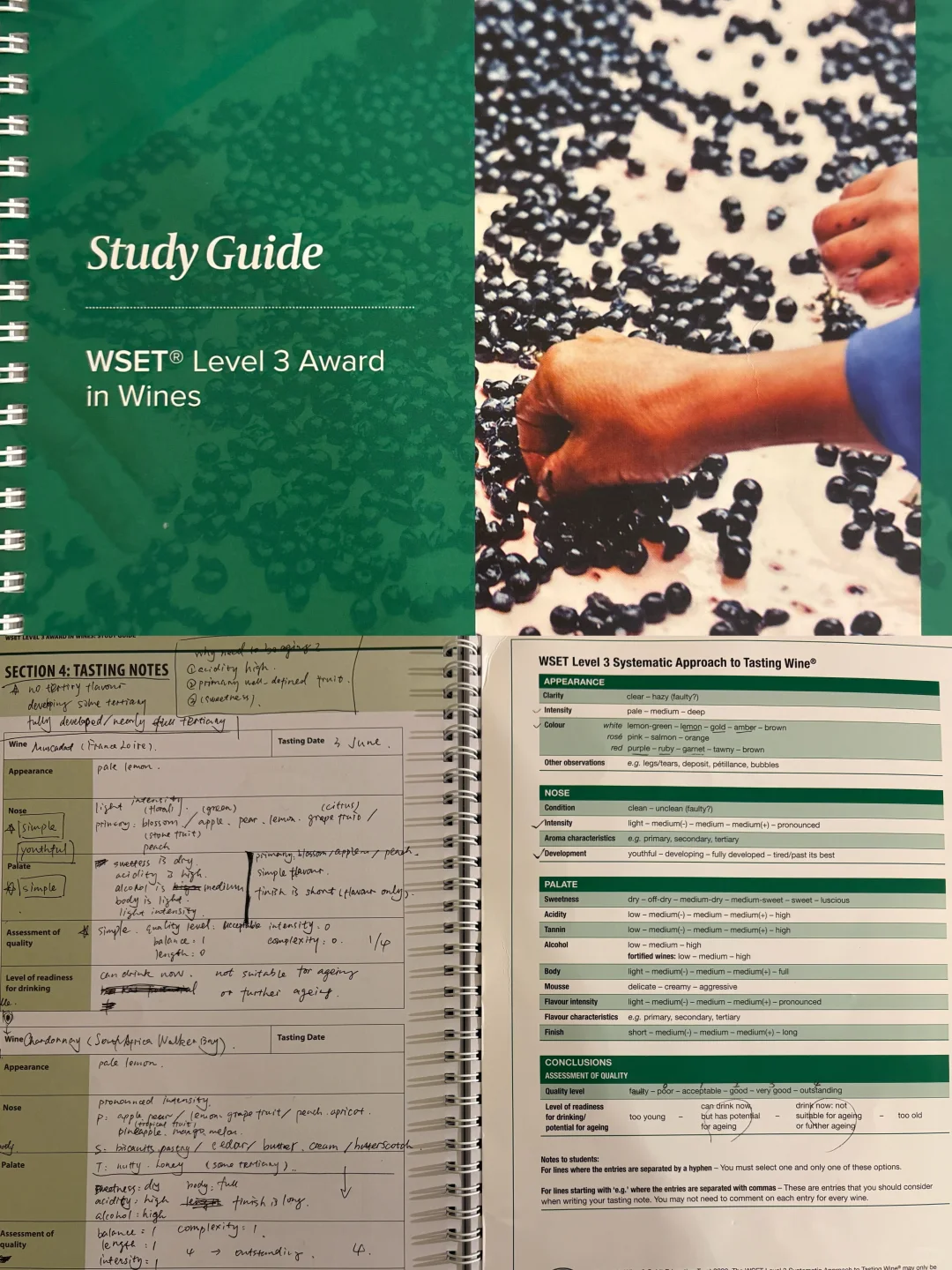 伦敦WSET学习体验: 三级笔试盲品考试心得