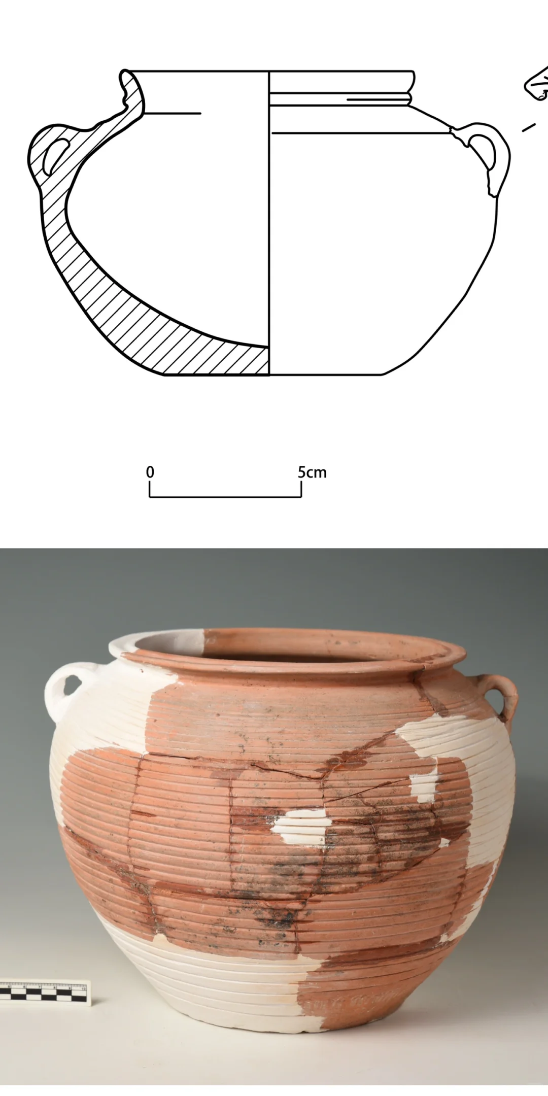 文物标本三维扫描-建模-切片-线稿图全流程