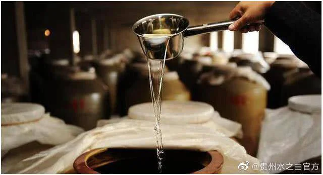 白酒各种香型是由哪些因素决定的?