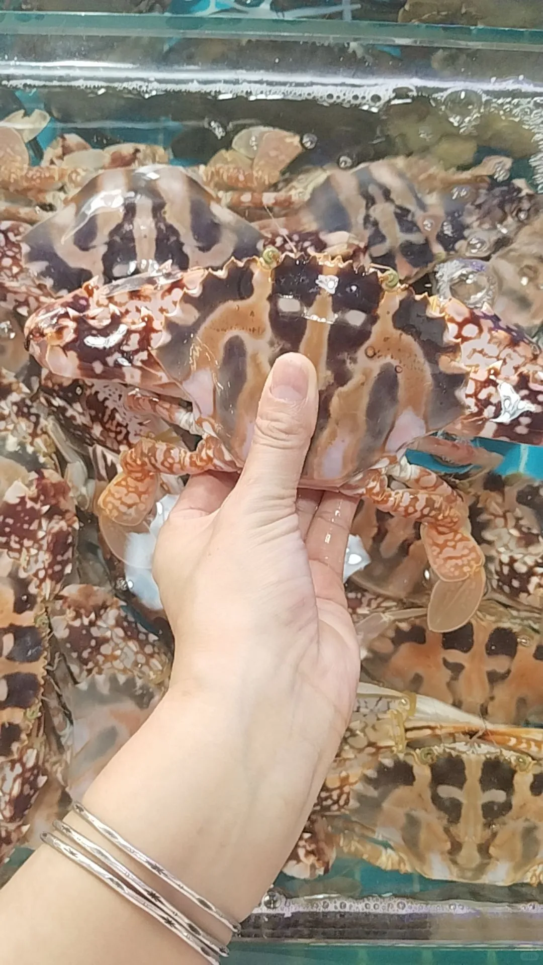 陈记川味海鲜加工店、林旺市场109号