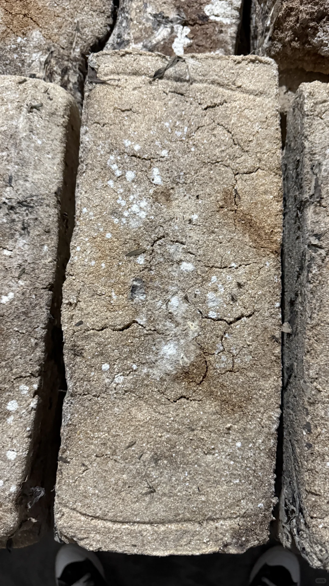 被褐怀玉；广结善缘。