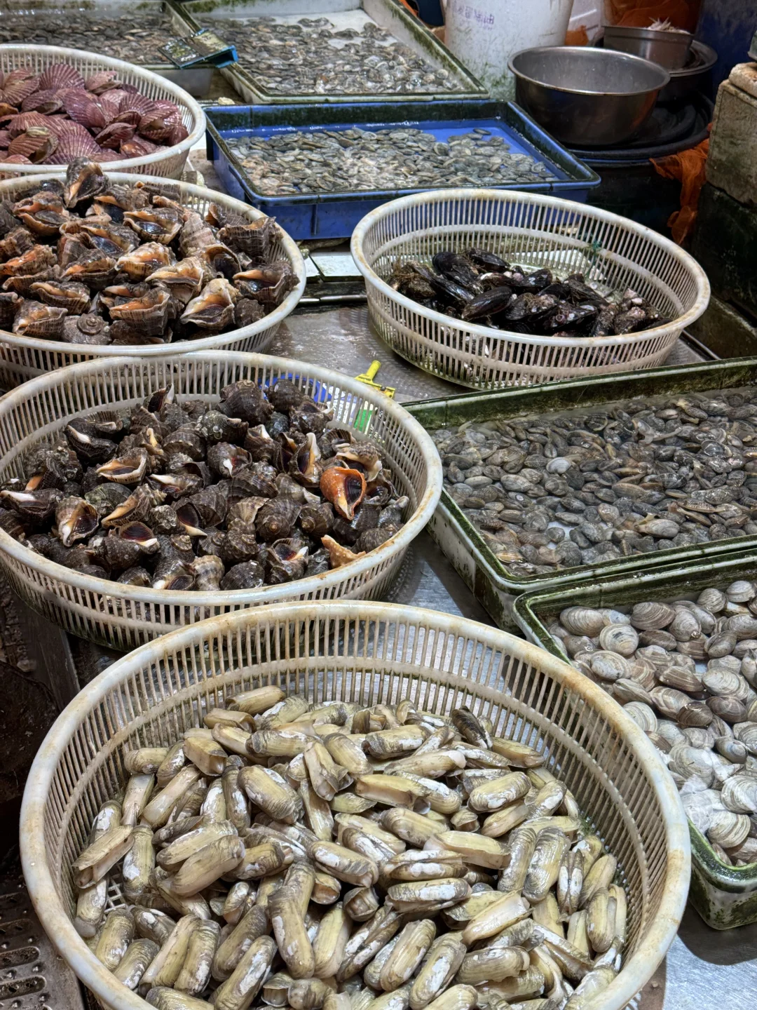 10月海鲜实时价格｜海鲜加工本地人带你避雷