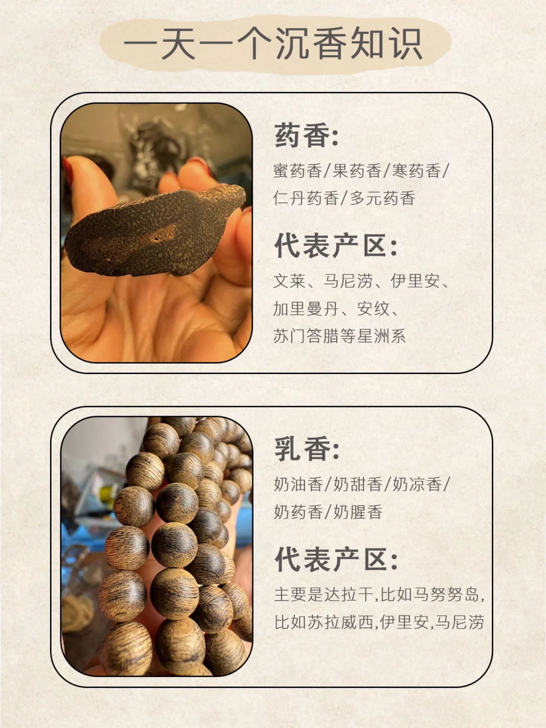 学会这30个品香术语｜你也能出口成章