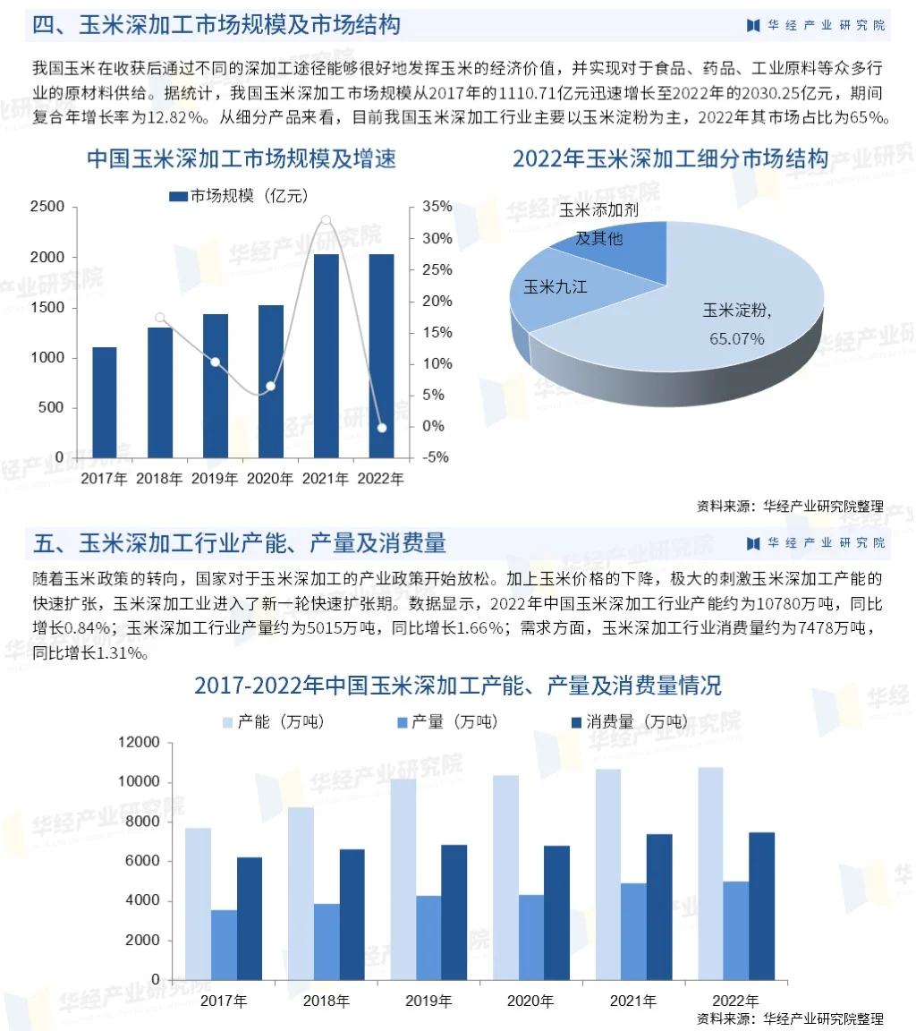 2023年中国玉米深加工行业市场全景评估报告