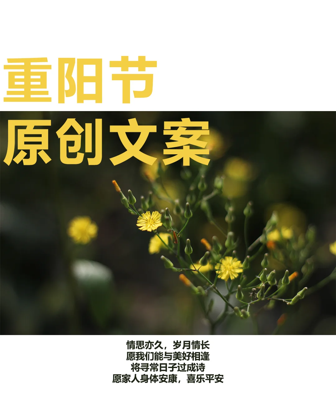 重阳节|白酒行业走心原创文案