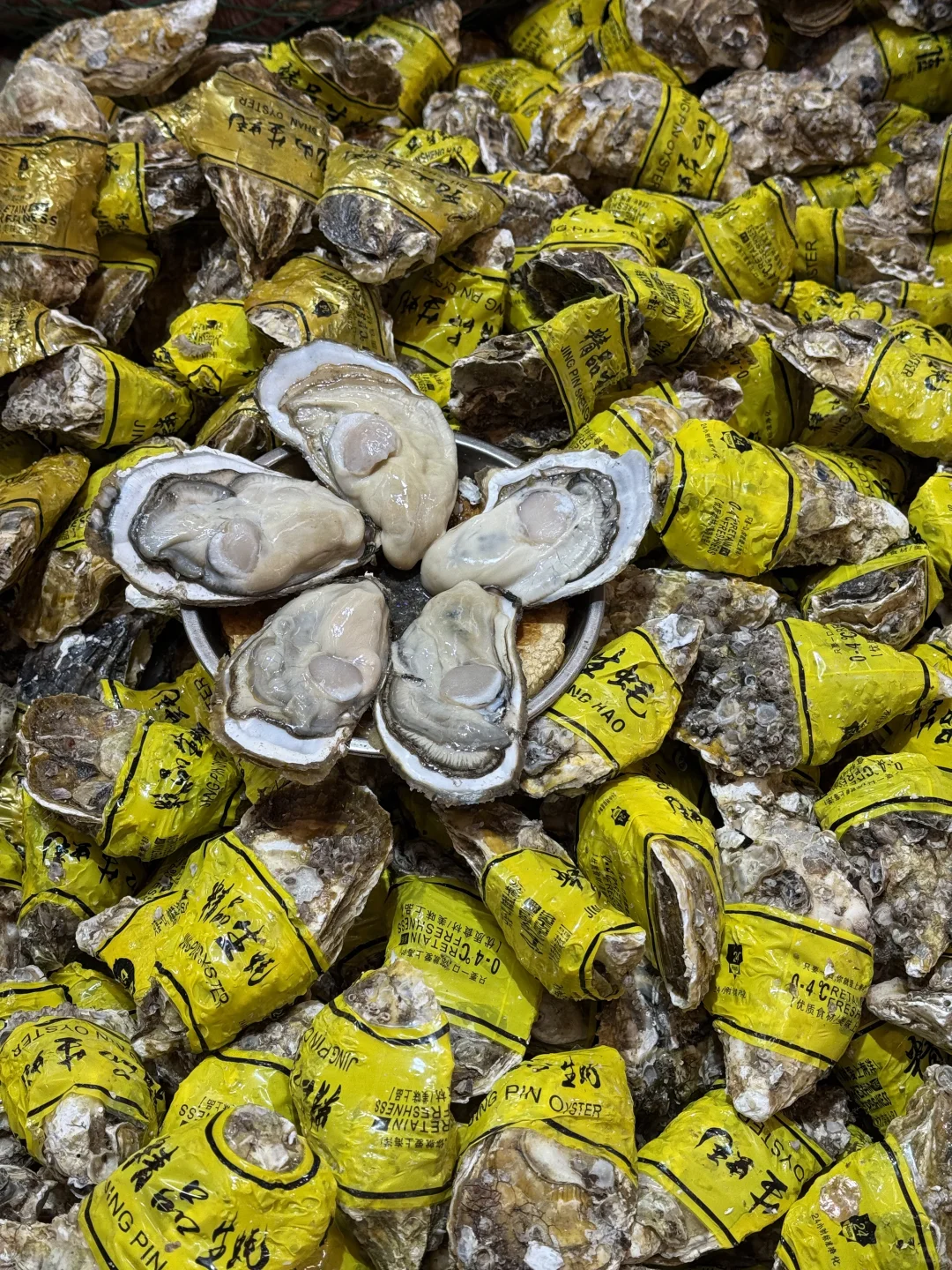 10月海鲜实时价格｜海鲜加工本地人带你避雷