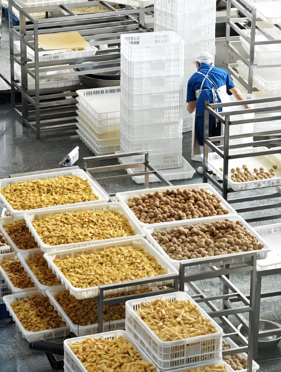 豆制品深加工可行性研究报告