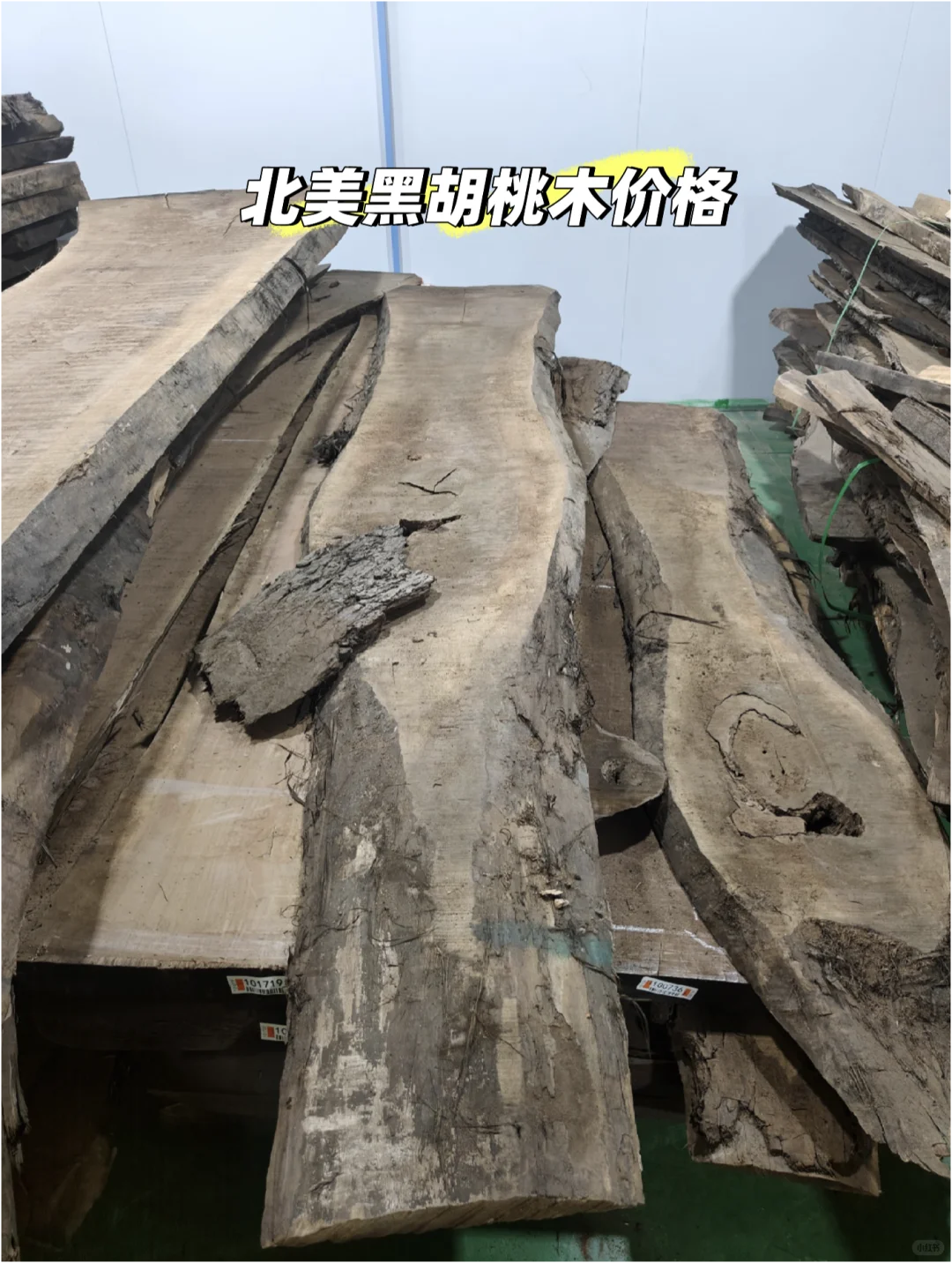 北美黑胡桃木价格秘密｜还会继续上涨吗？