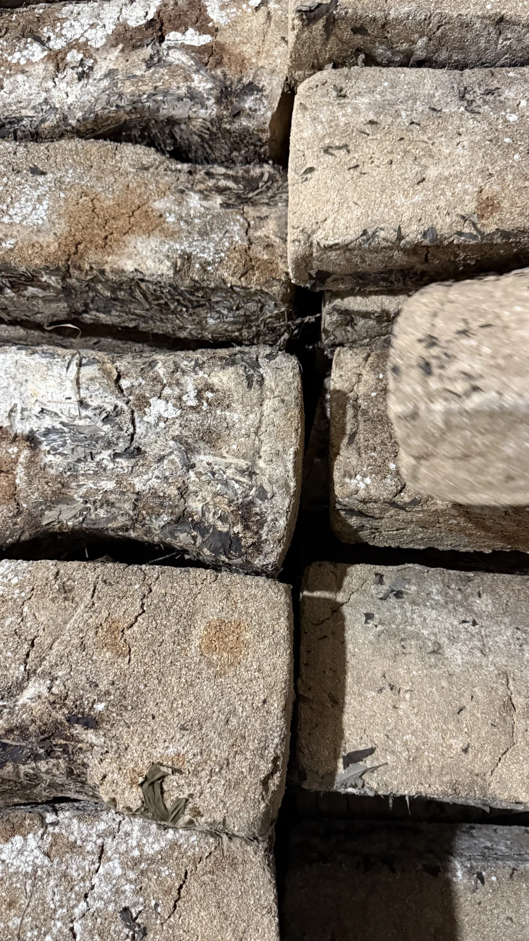 被褐怀玉；广结善缘。