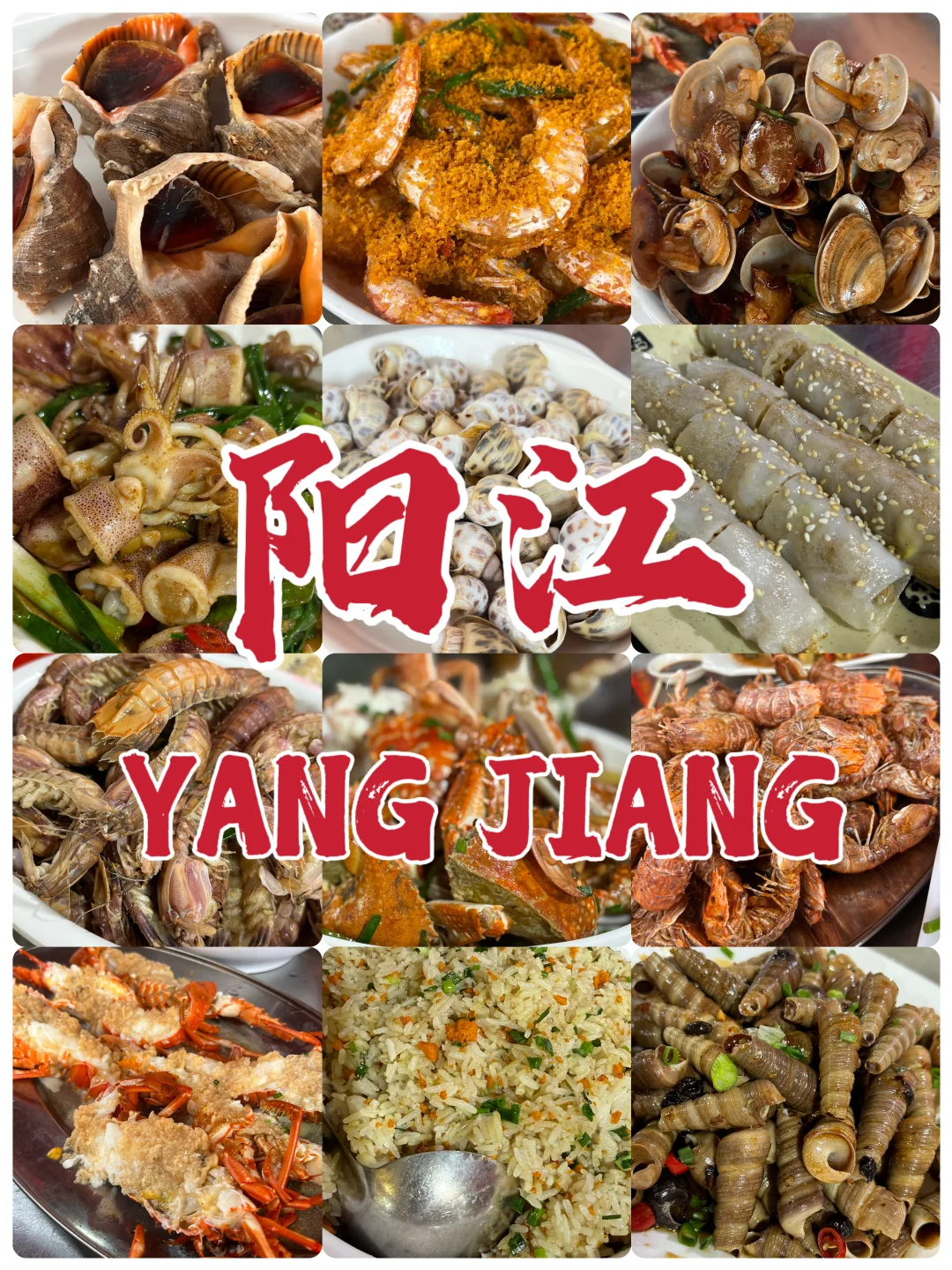 阳江美食 | 白蒲市场实现海鲜自由！