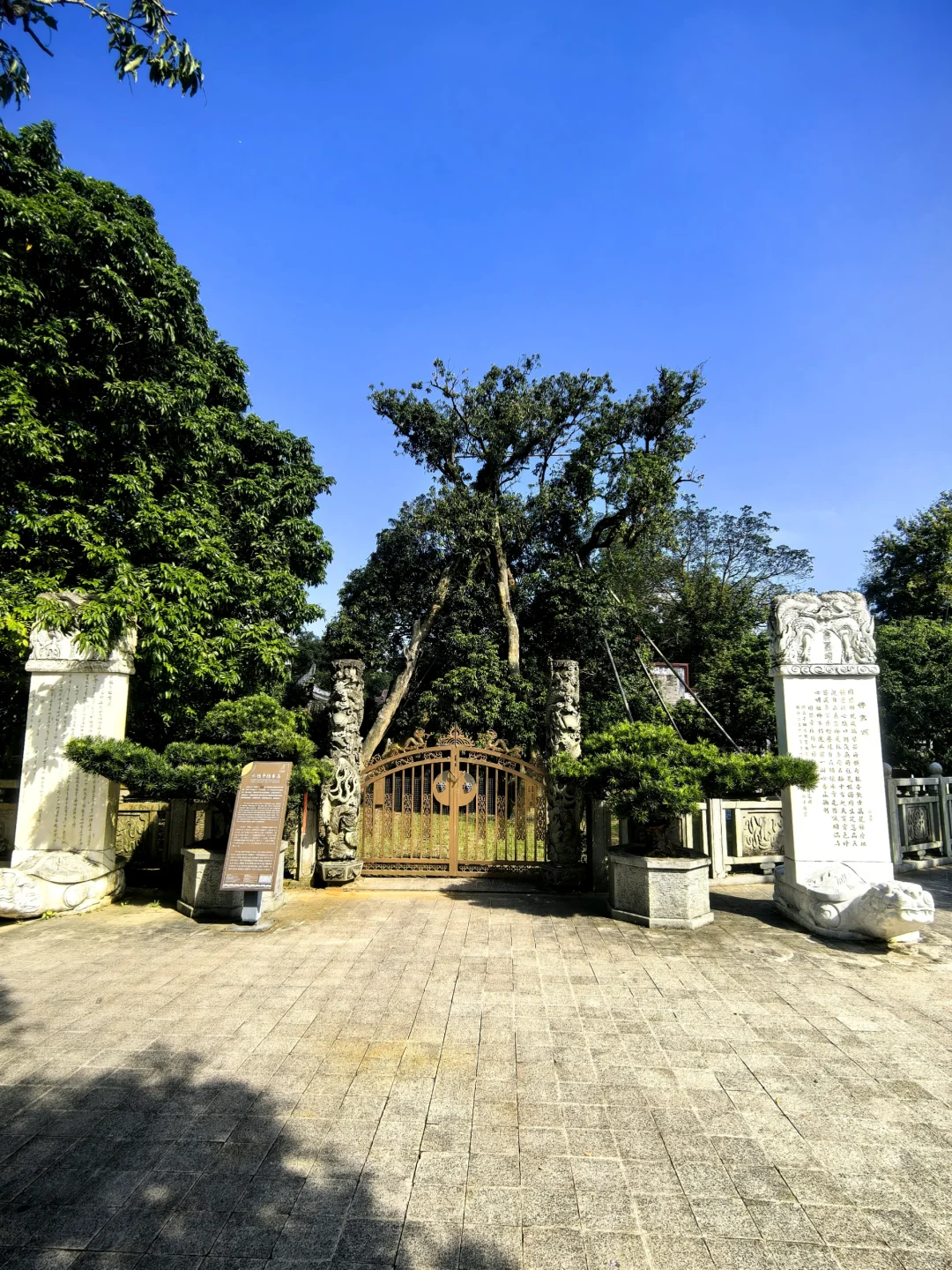 云浮新兴国恩寺|在六祖故里遇千年禅意