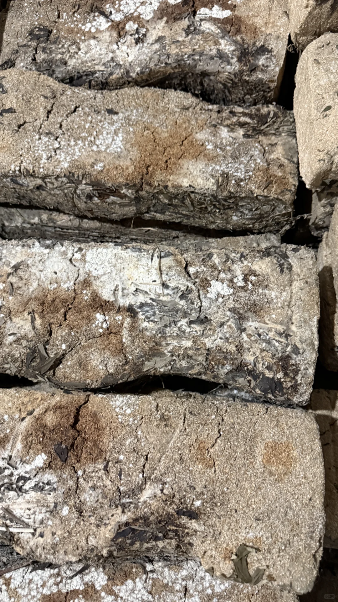 被褐怀玉；广结善缘。