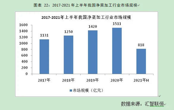 净菜加工行业市场研究与发展前景预测报告
