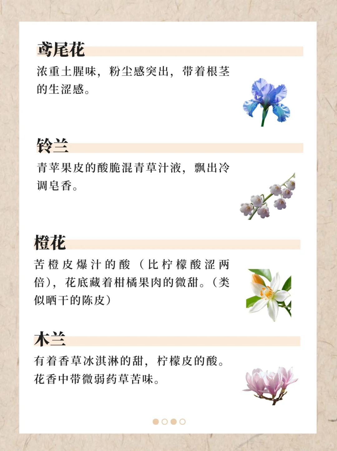 香水香料气味词典（下）｜122种香料真实气味