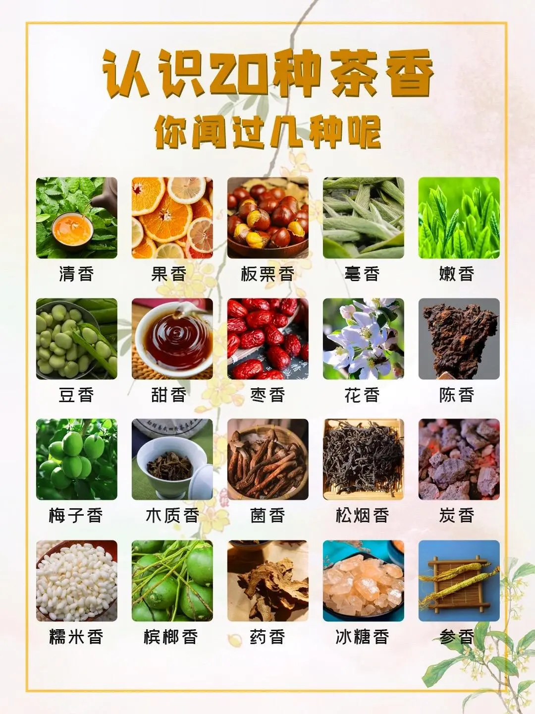 常见的20种茶香 你闻过几种呢❓