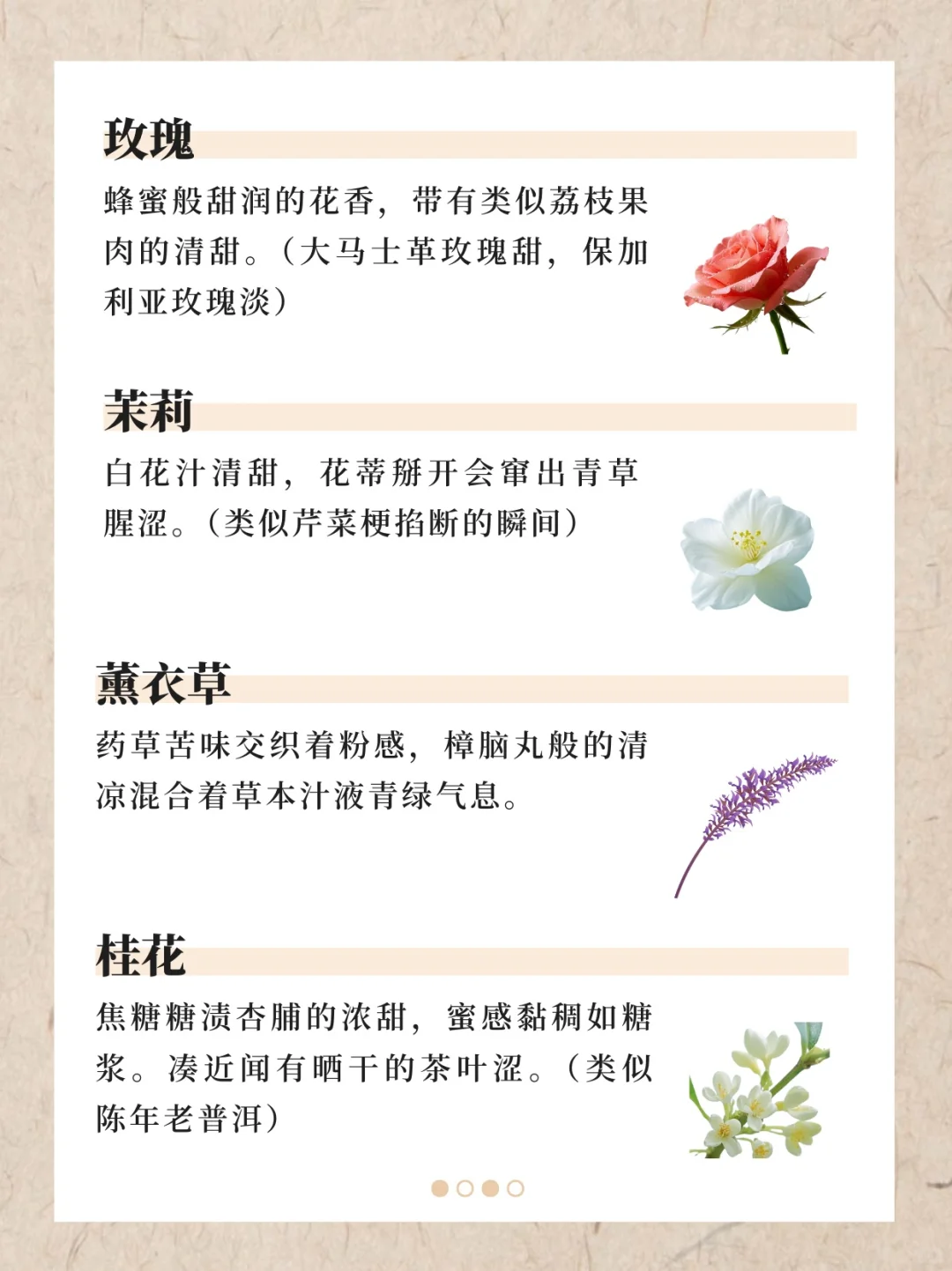 香水香料气味词典（下）｜122种香料真实气味