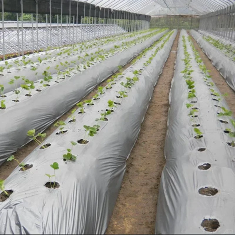 环保材料新宠！PBAT让产品轻松get绿色认证