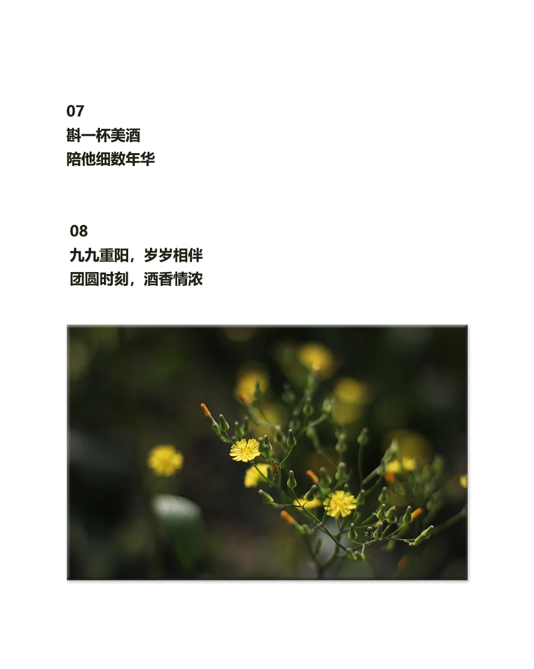 重阳节|白酒行业走心原创文案