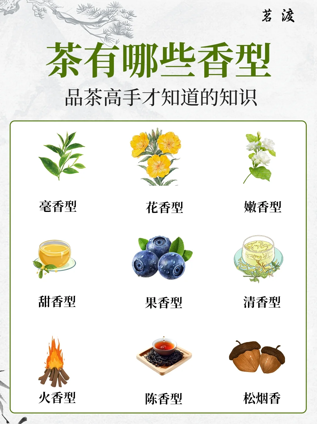 喝了这么久的茶，竟然还不知它有九种茶香