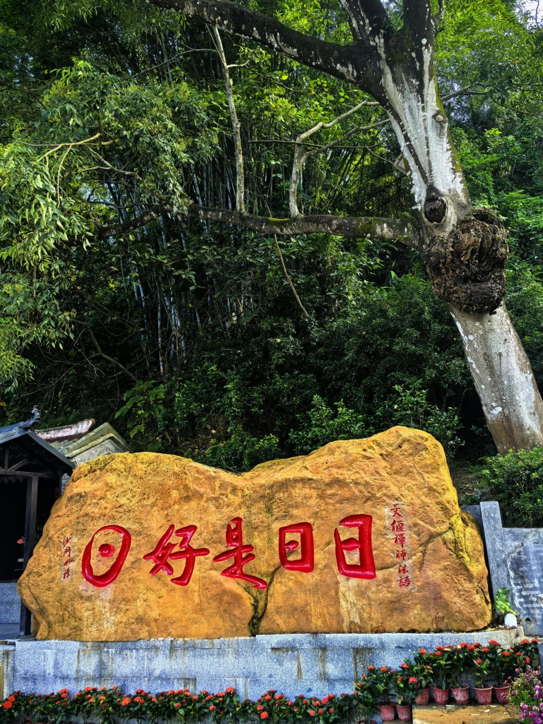 云浮新兴国恩寺|在六祖故里遇千年禅意