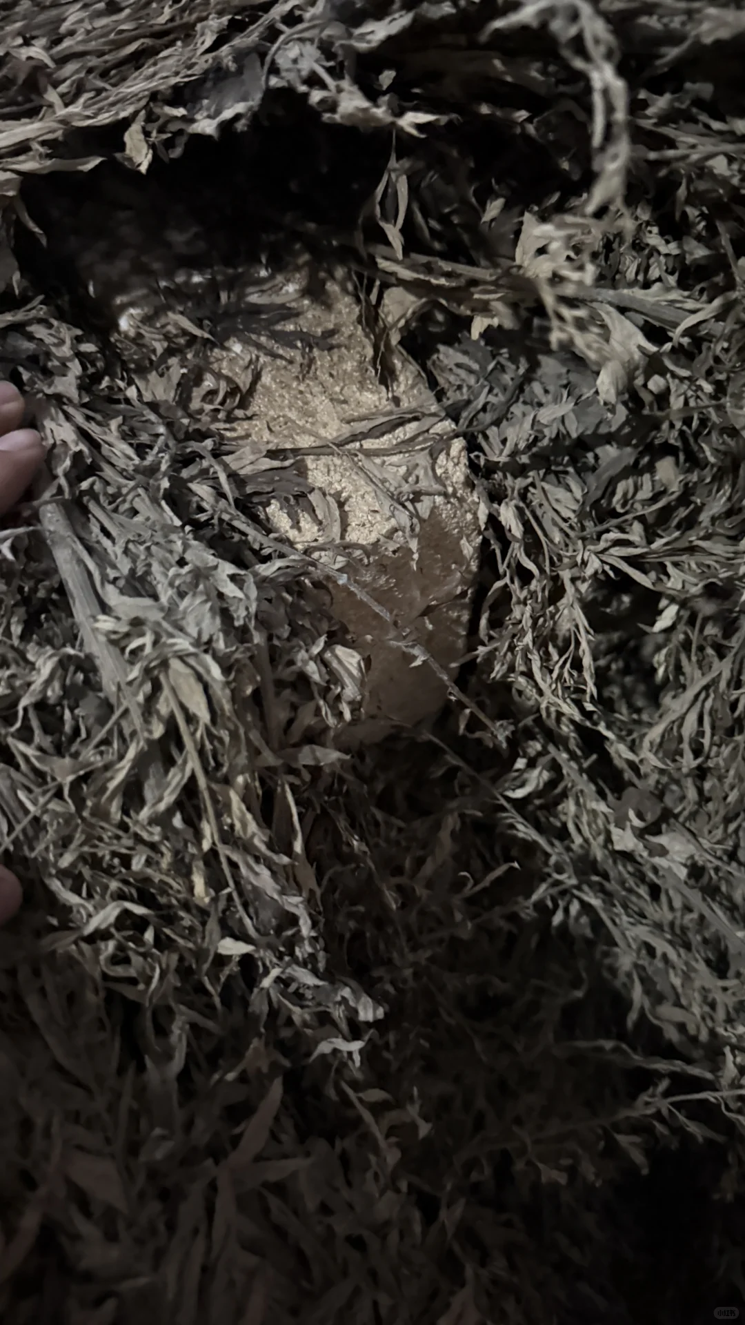 被褐怀玉；广结善缘。