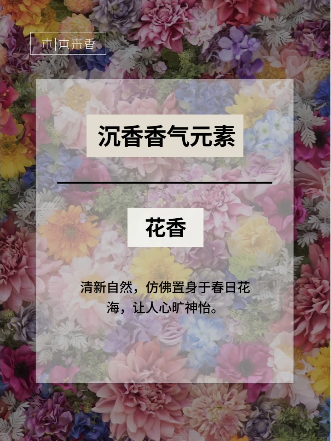 四大名香|组成沉香香气中的七种基础元素