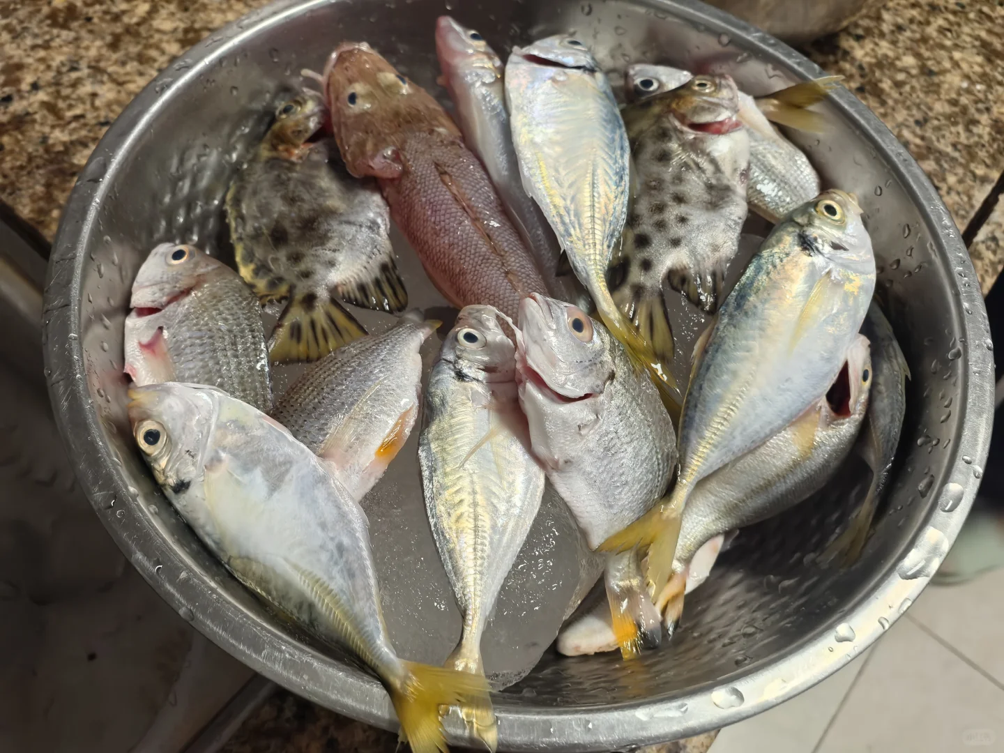 钦州犀牛镇丝罗市场买逛攻略