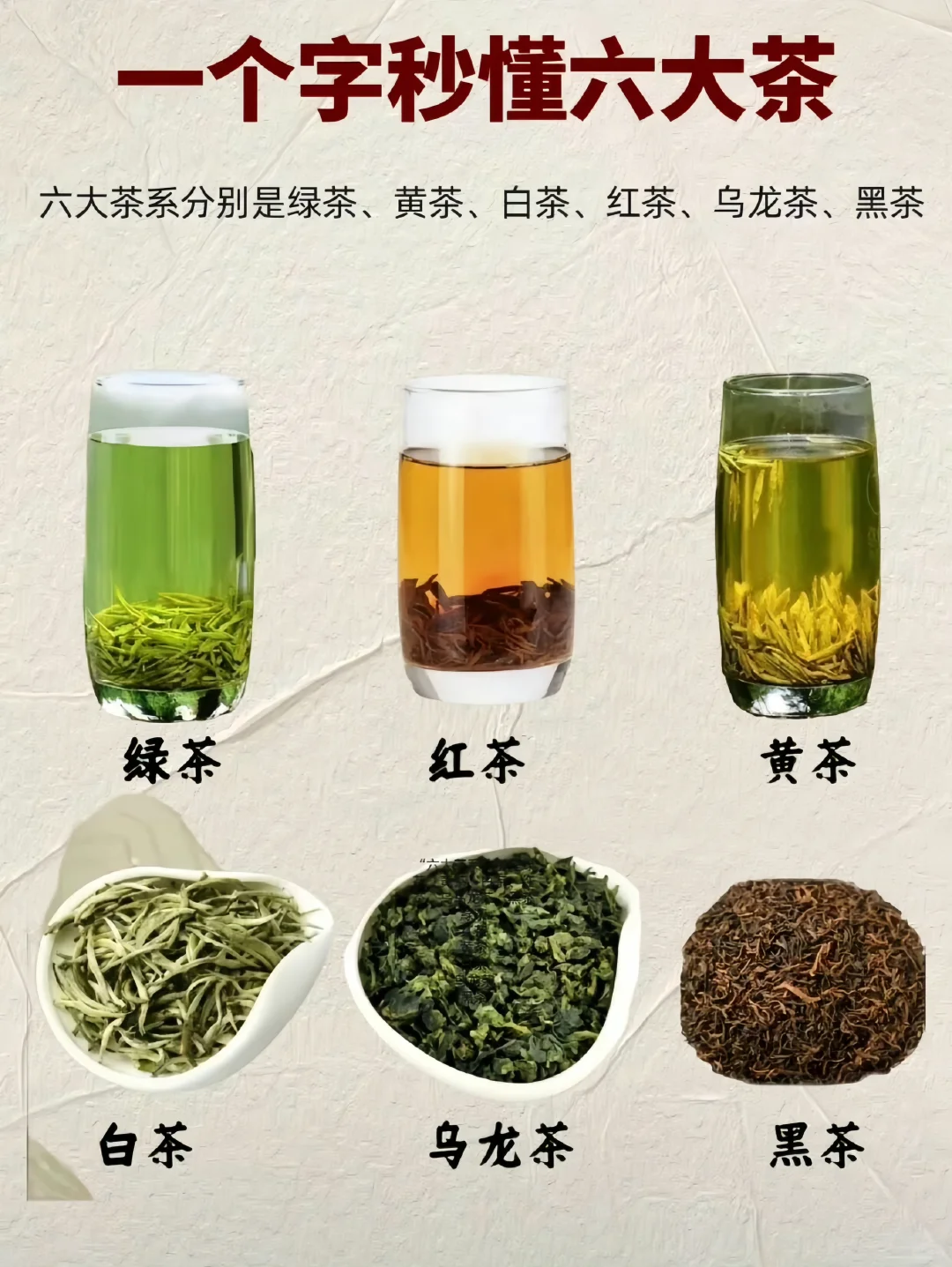一个字秒懂六大茶类，小白速进！
