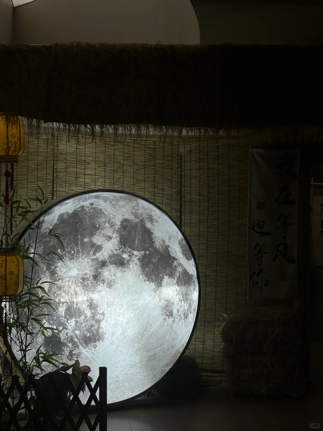 水果饮料自由也太爽了吧!