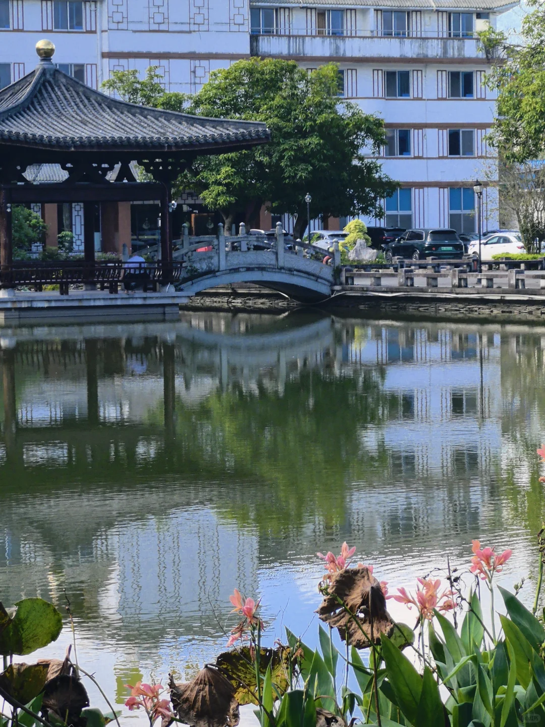 云浮新兴国恩寺|在六祖故里遇千年禅意