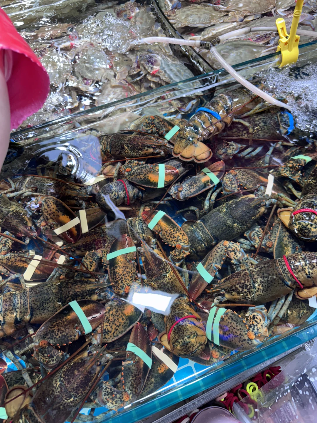 日照石臼海鲜市场｜本地人带路防坑指南