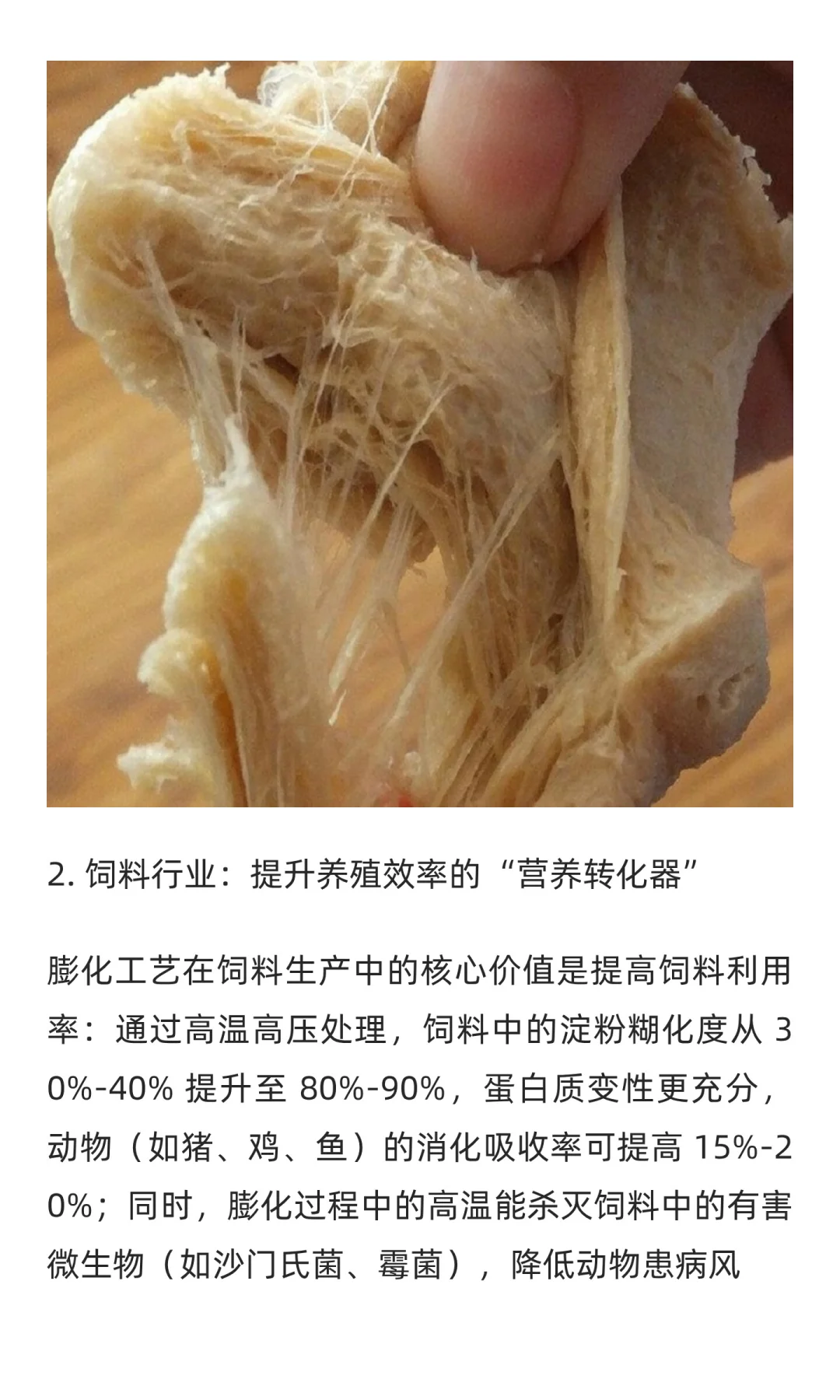 膨化机：从技术原理到全领域实践