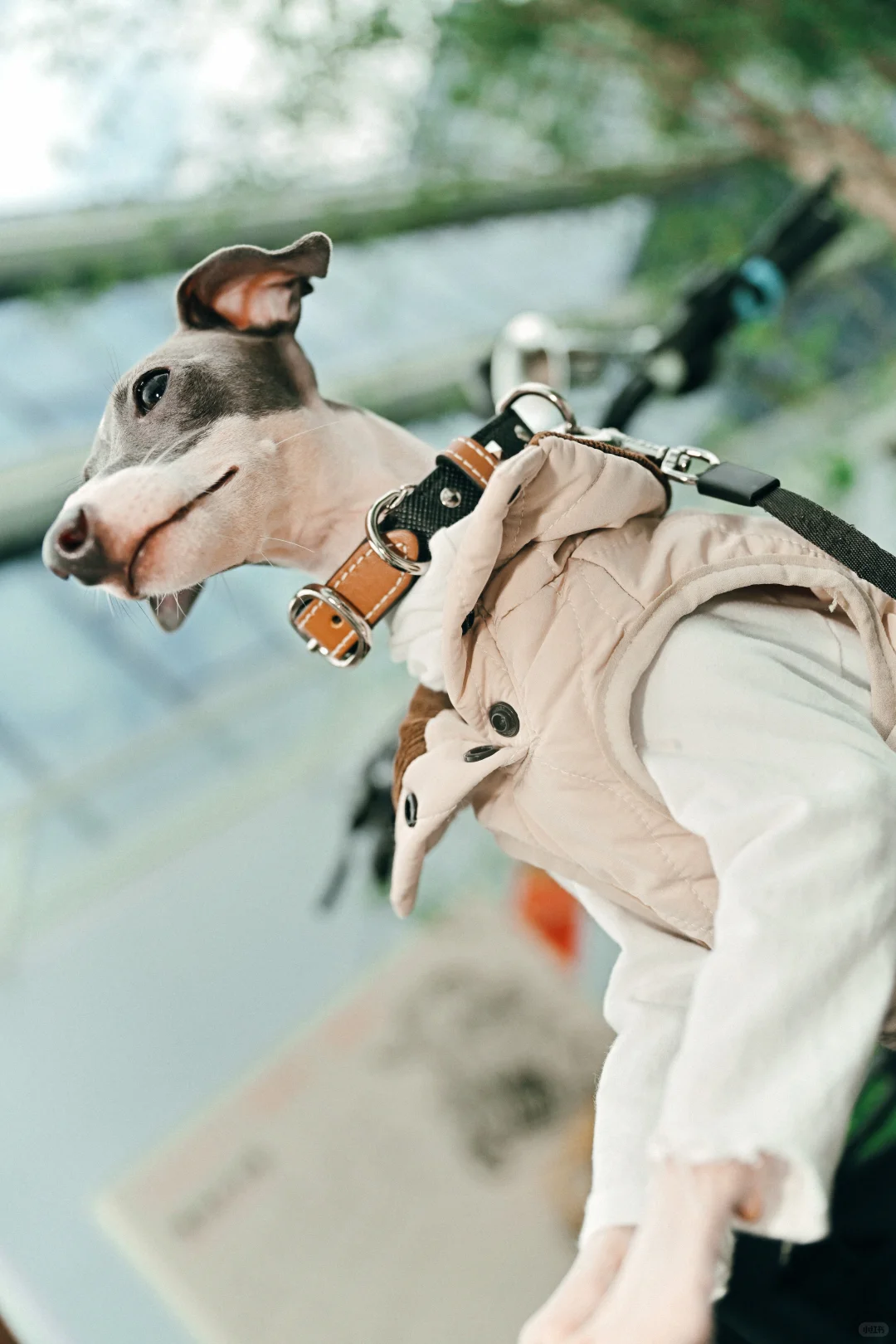 ATMOSE Cargo Hub开业爆了!现场图直出,速来