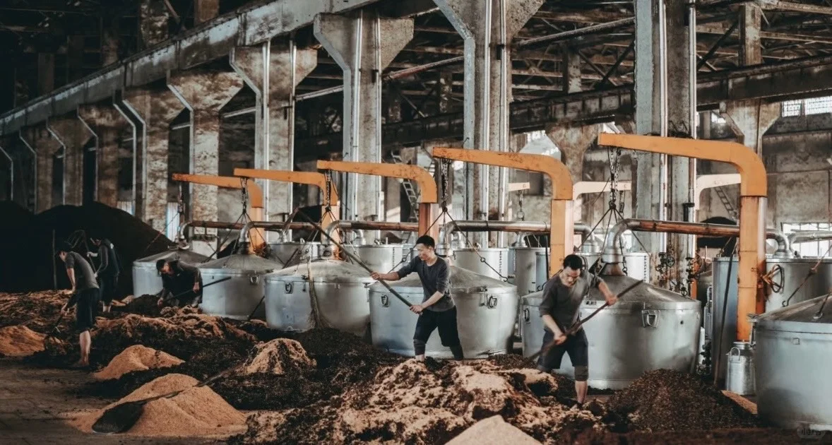 74度原浆，你敢大口喝吗？