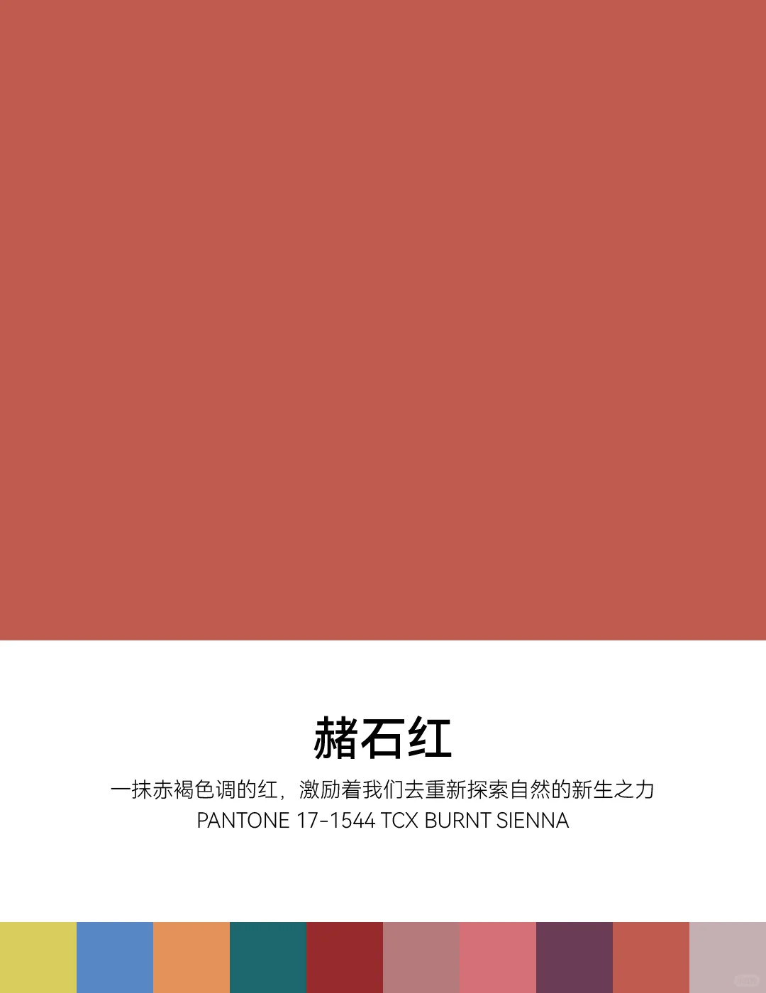 2026春夏纽约时装周PANTONE明装流行色