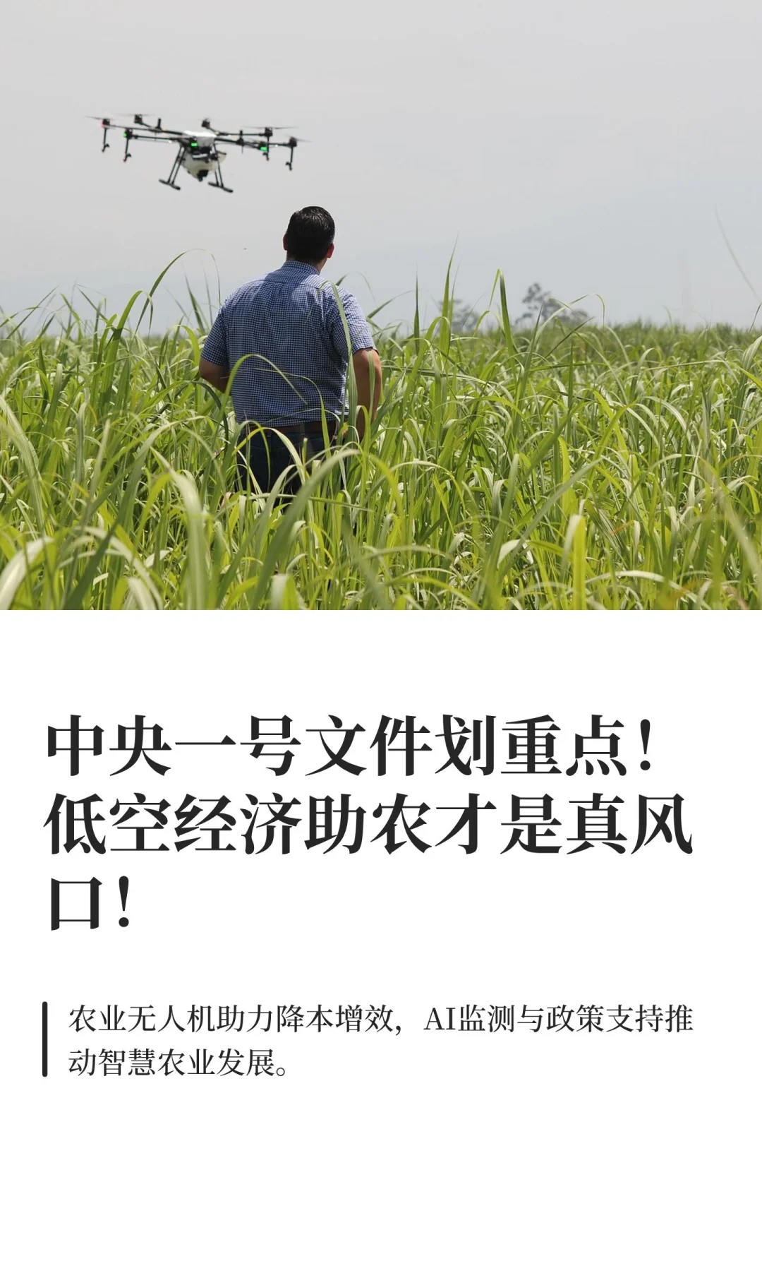 中央一号文件:抓住低空助农新风口