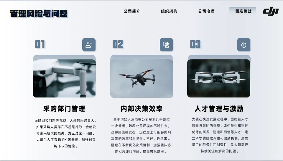 大疆创新企业分析17页