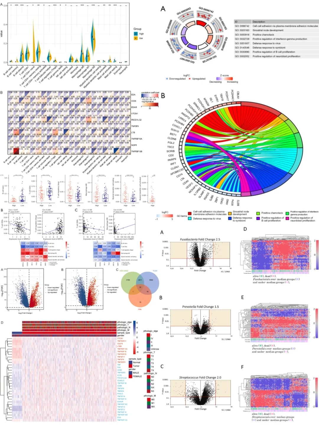 MR新视界！孟德尔随机化＋多种方法组合分析