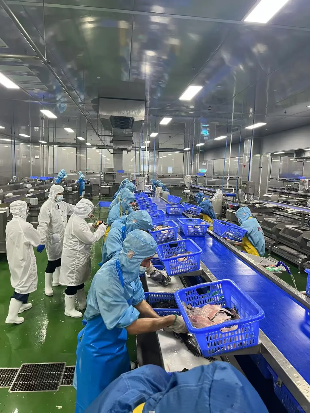 叮叮懒人菜的硬核实力，从工厂就能看出