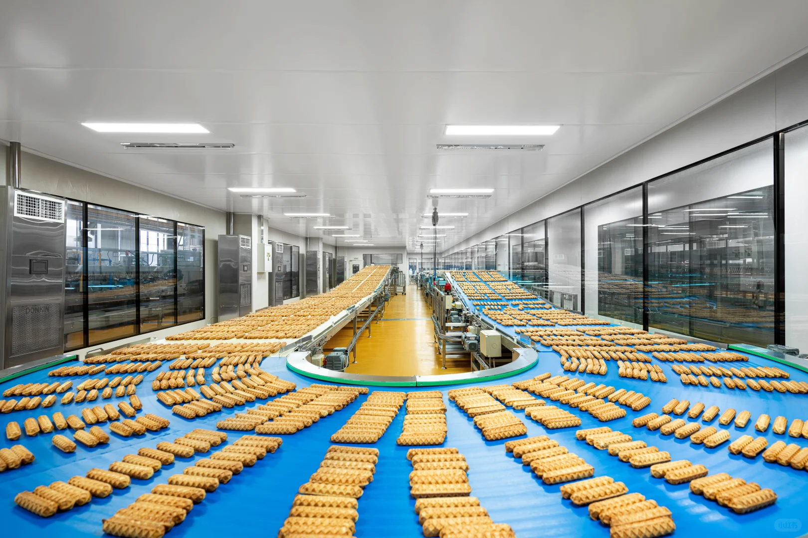 不愧花了4⃣个亿建造的现代工厂?