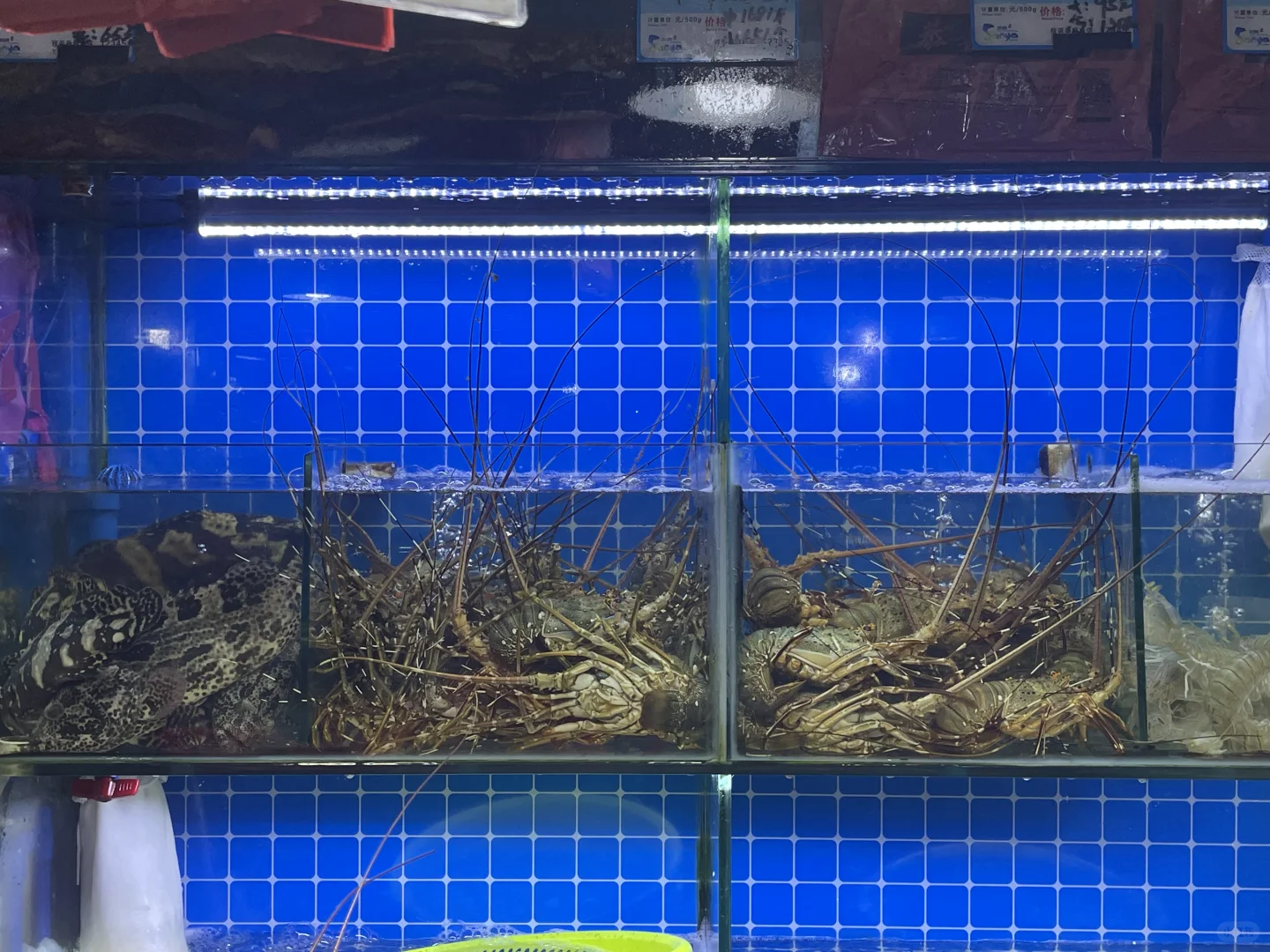 三亚海鲜市场买海鲜体验