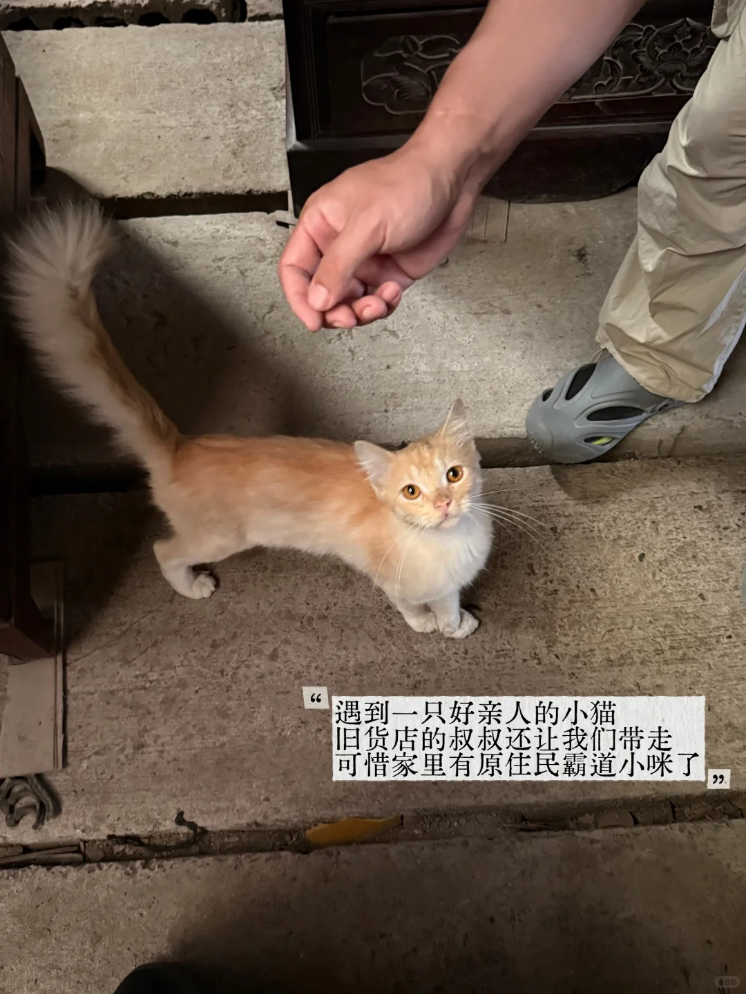 苏州横泾市场,是旧木家具老木头的天堂吧!