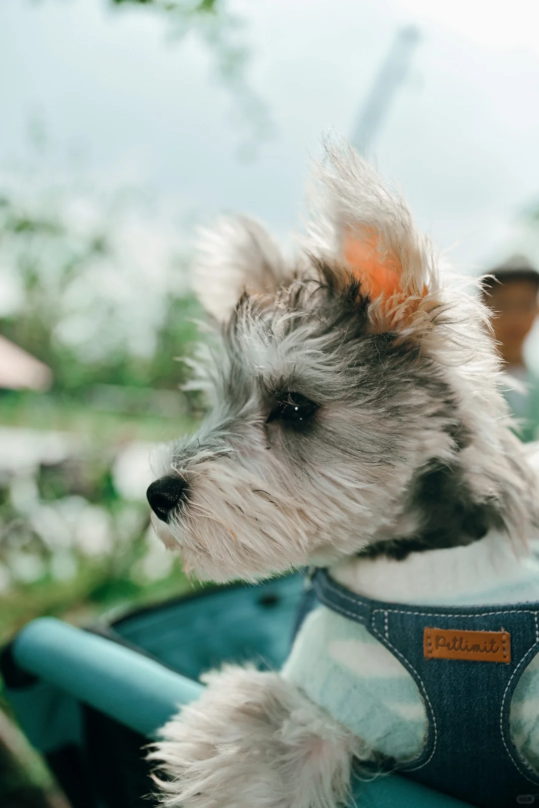 ATMOSE Cargo Hub开业爆了!现场图直出,速来