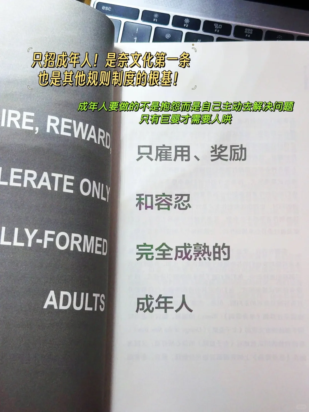 奈飞文化手册，中小企业持续增长的利器！