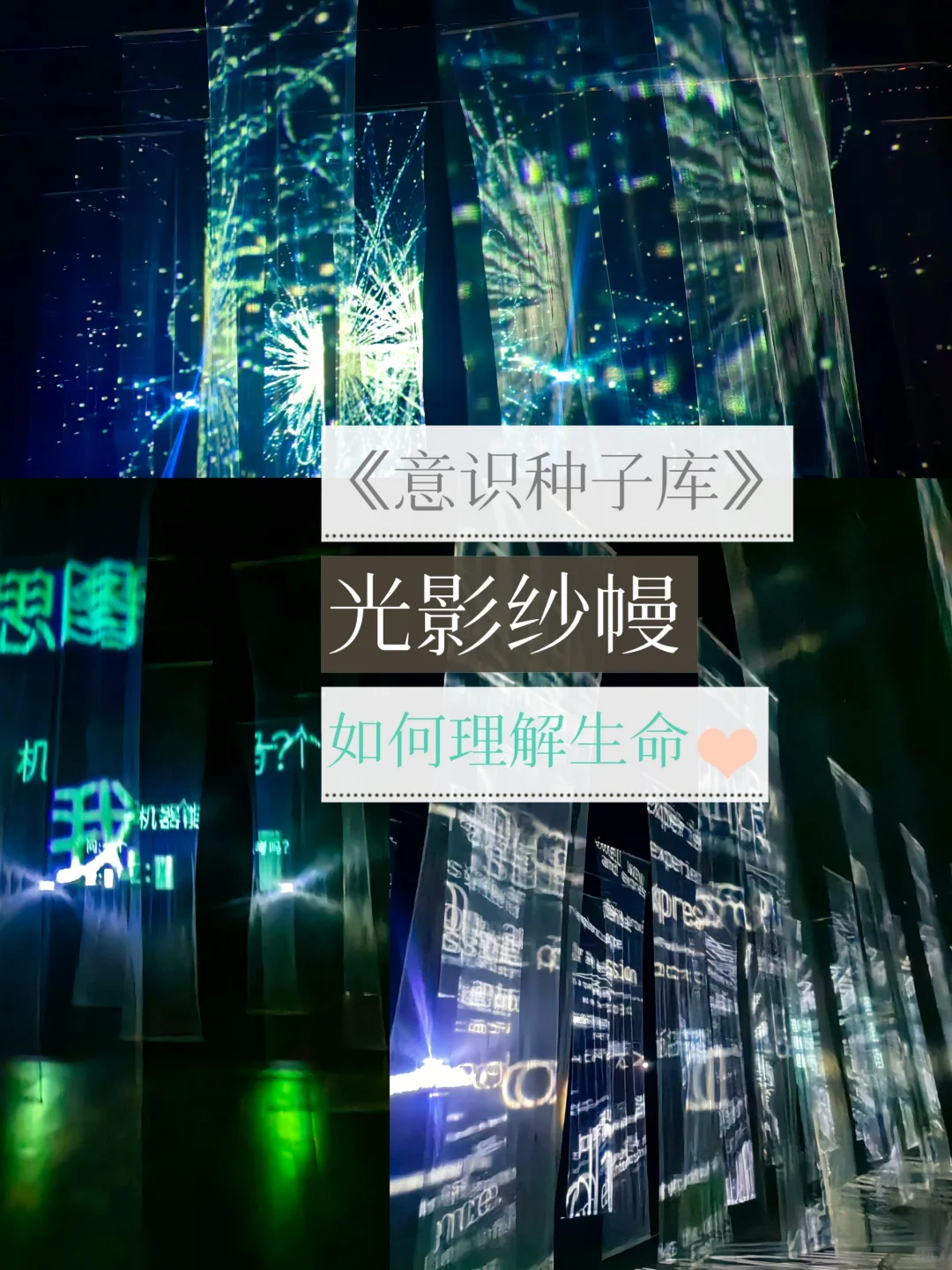 图灵花园笔记！ 大展的范儿遛娃的地儿！