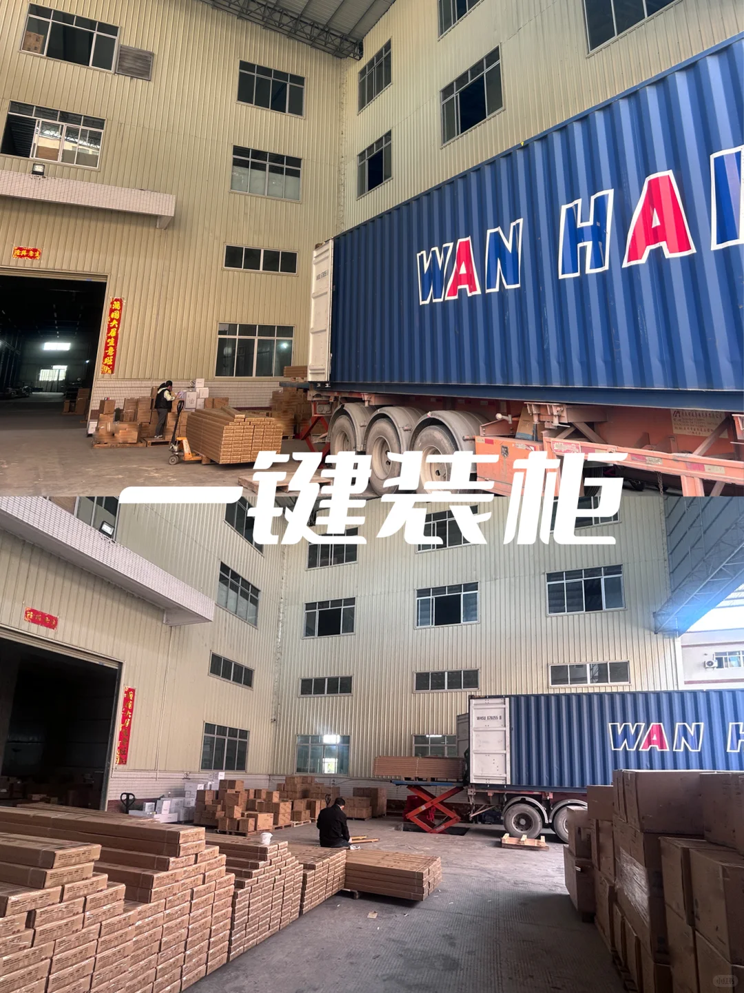 ✨ 晨曦照明｜终于等到你~还好我没放弃~